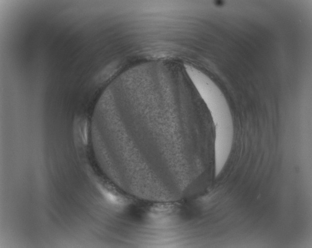 X0000063520076200602032121