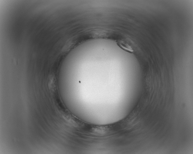 X0000063520079200602032121