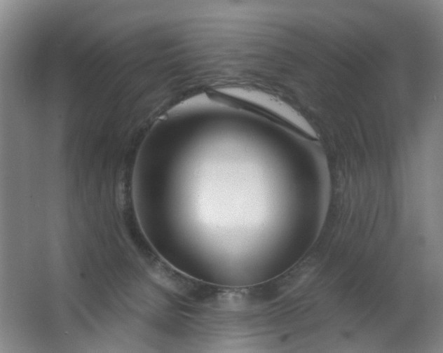 X0000063520080200602032121