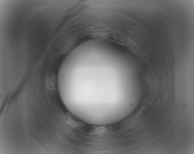 X0000063520083200602032121