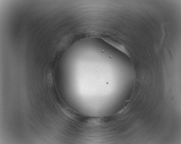 X0000063520086200602032121