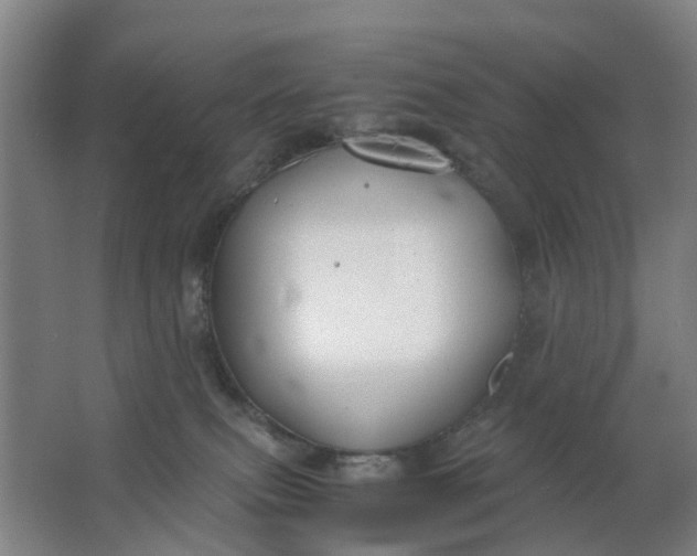 X0000063520087200602032121