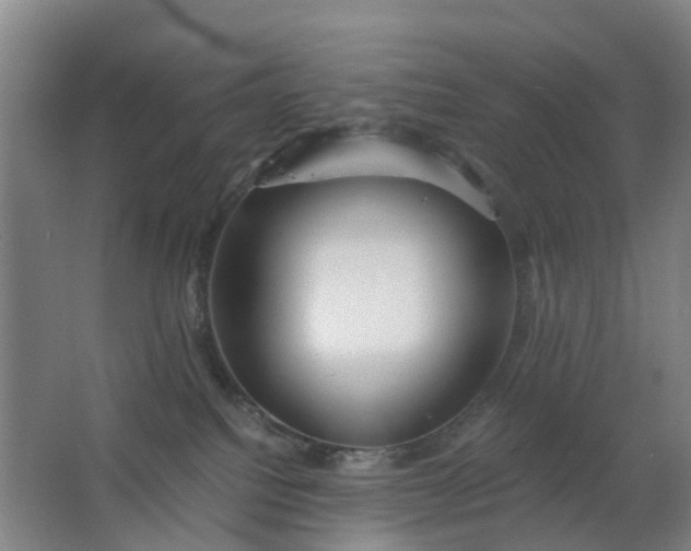 X0000063520088200602032121