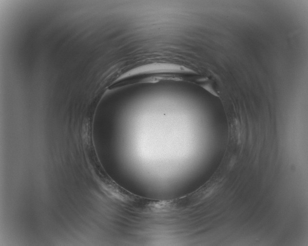 X0000063520092200602032121