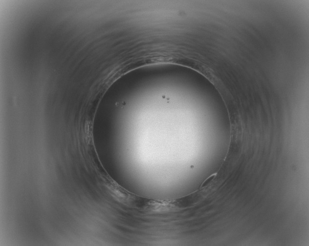 X0000063520093200602032121