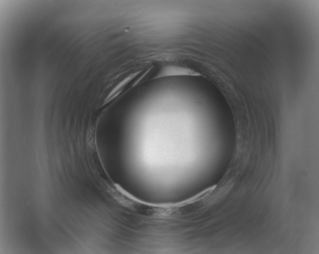 X0000063520096200602032121