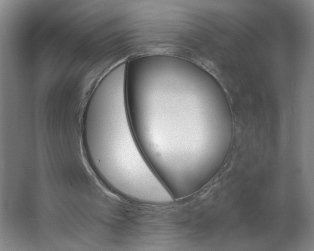 X0000063520097200602032120