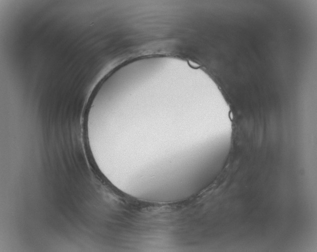 X0000063520100200602032120