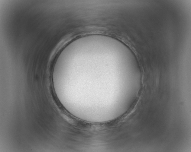 X0000063520101200602032120