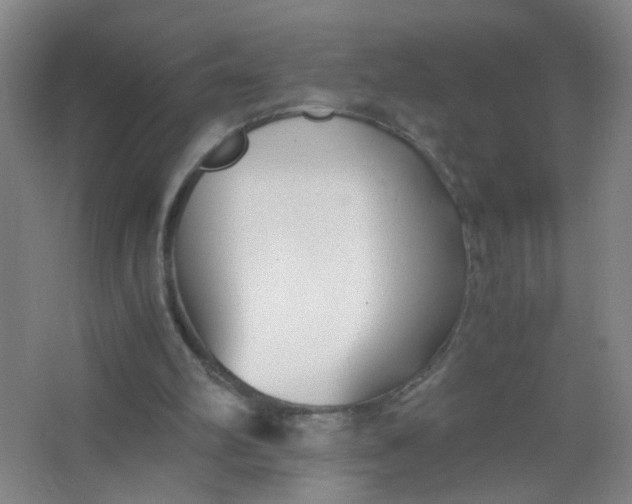 X0000063520102200602032120