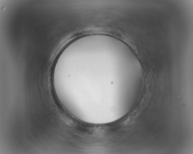 X0000063520103200602032120