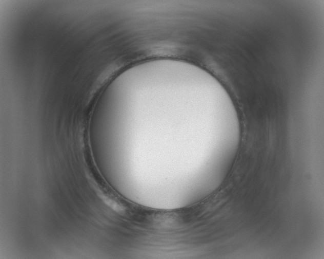 X0000063520106200602032120