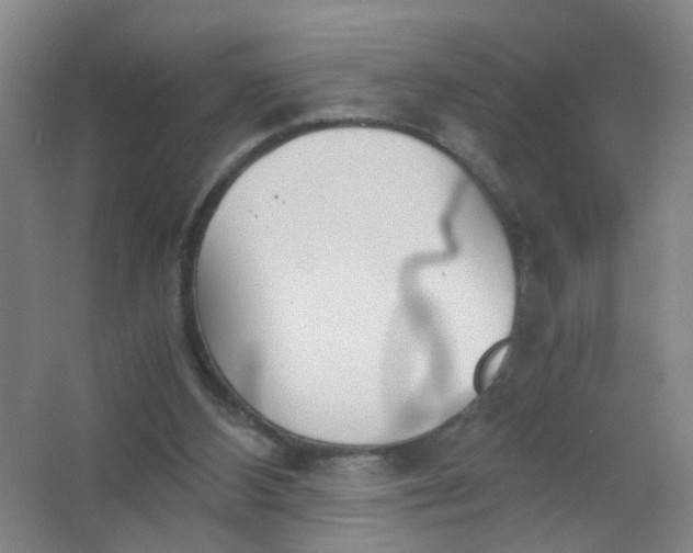 X0000063520108200602032120