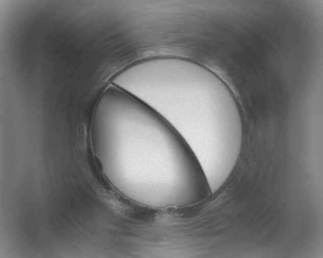 X0000063520109200602032120