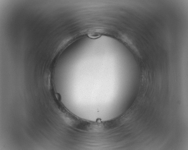 X0000063520110200602032120