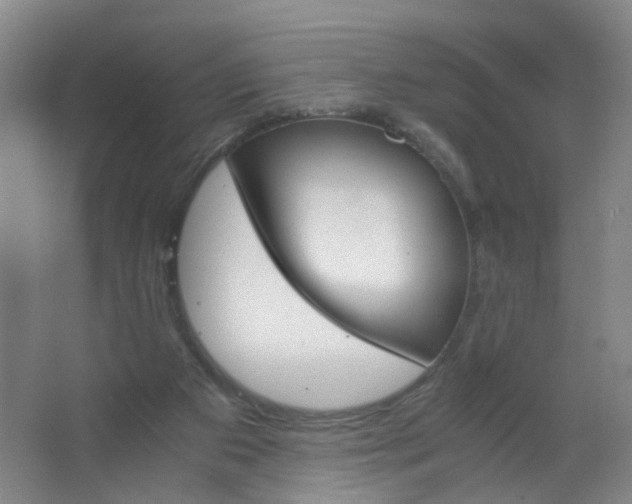 X0000063520113200602032120