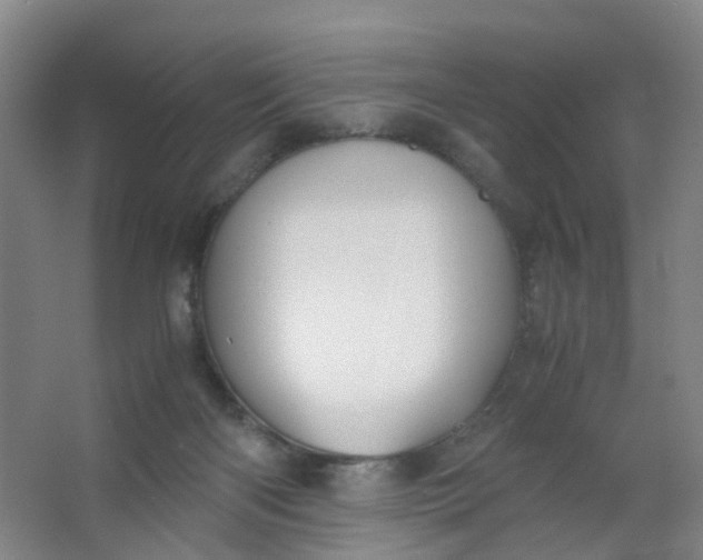 X0000063520122200602032120