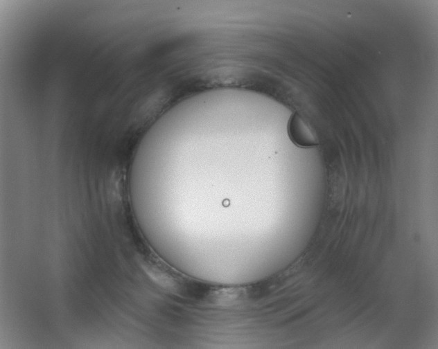 X0000063520126200602032120