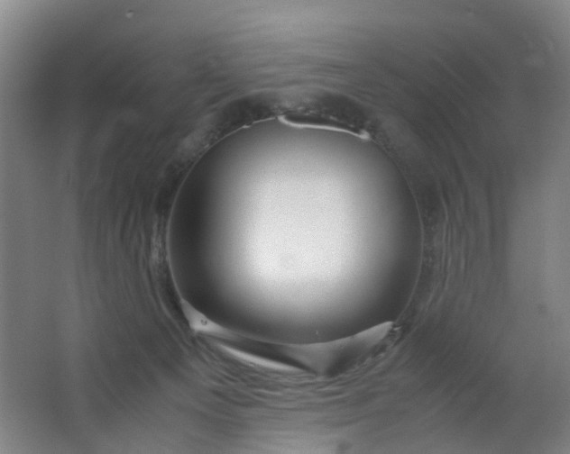 X0000063520129200602032120