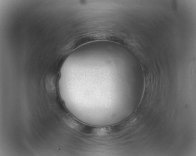 X0000063520131200602032120