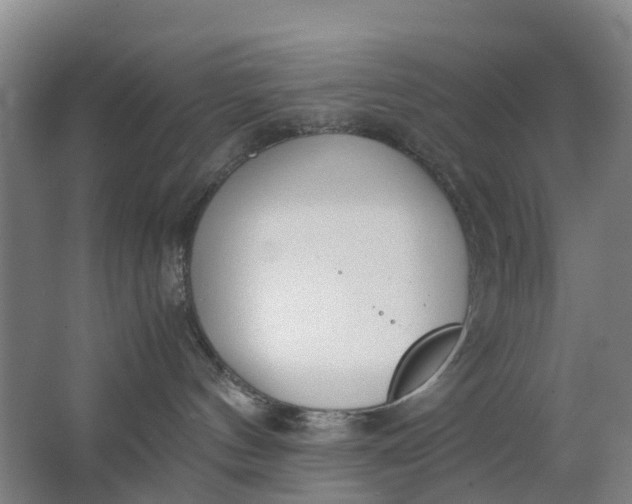 X0000063520144200602032119