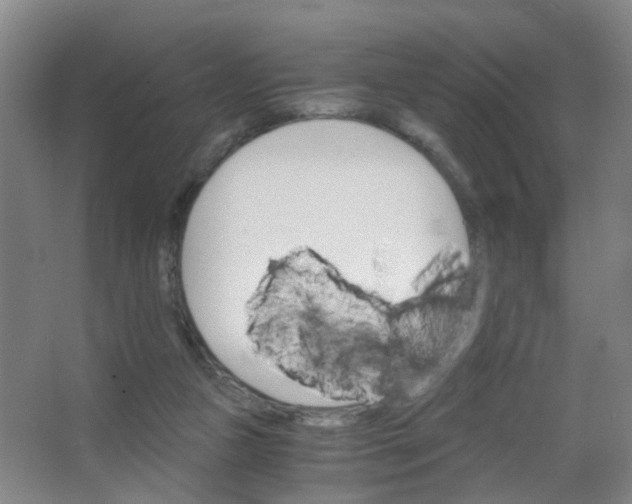 X0000063520161200602032119