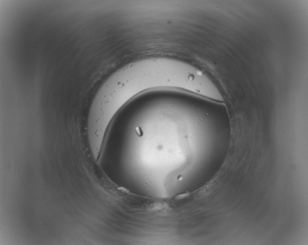 X0000063520162200602032119