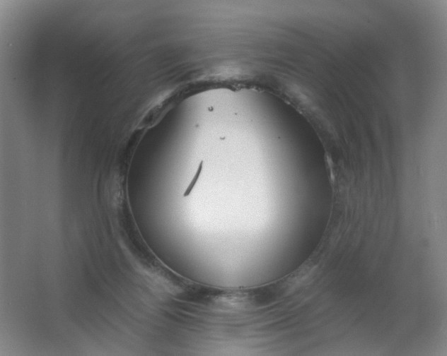 X0000063520164200602032119