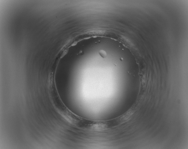 X0000063520168200602032119