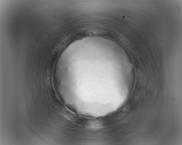 X0000063520169200602032119