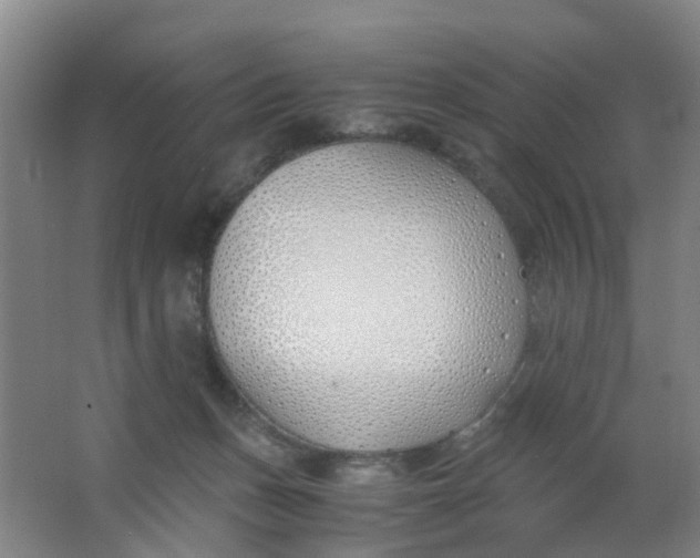 X0000063520175200602032119