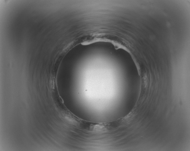 X0000063520180200602032119