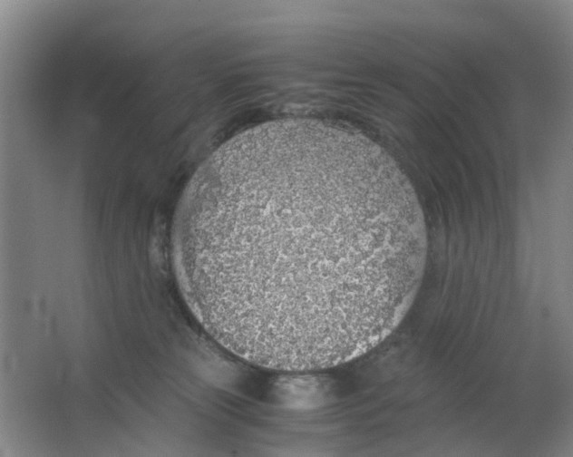 X0000063520181200602032119