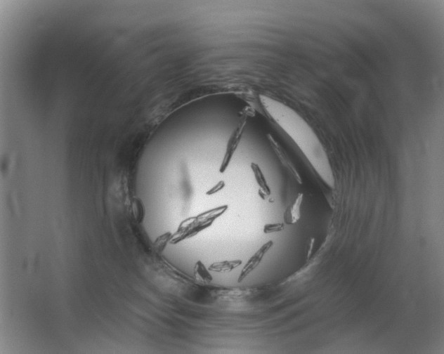 X0000063520182200602032119