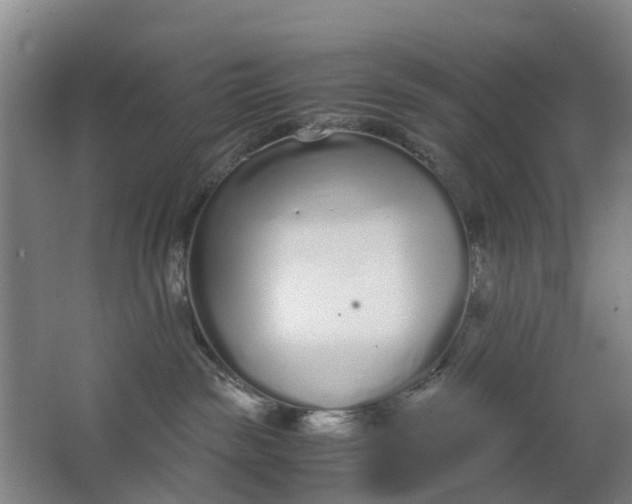 X0000063520189200602032119