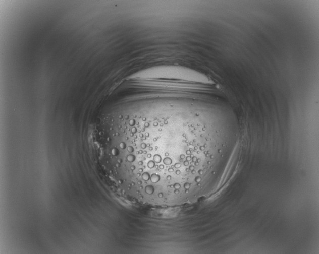 X0000063520191200602032119