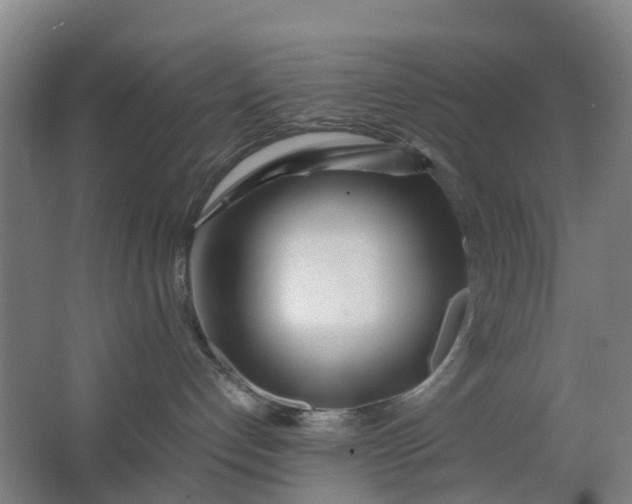 X0000063520192200602032119