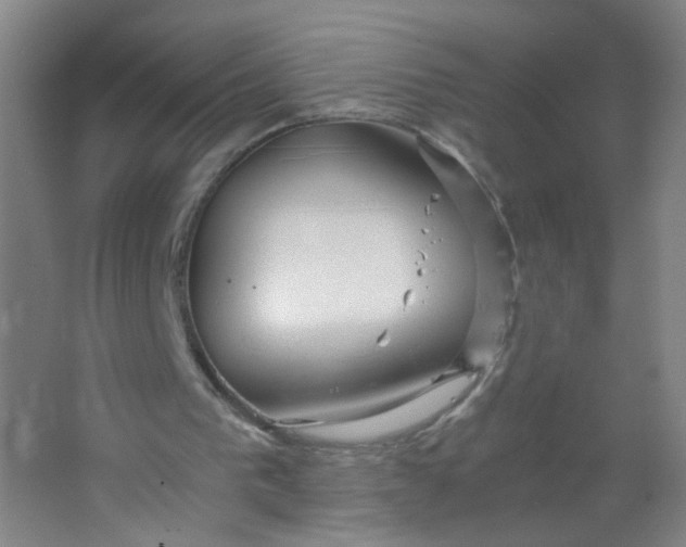 X0000063520193200602032119