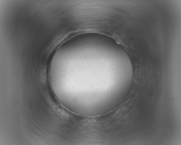 X0000063520194200602032119