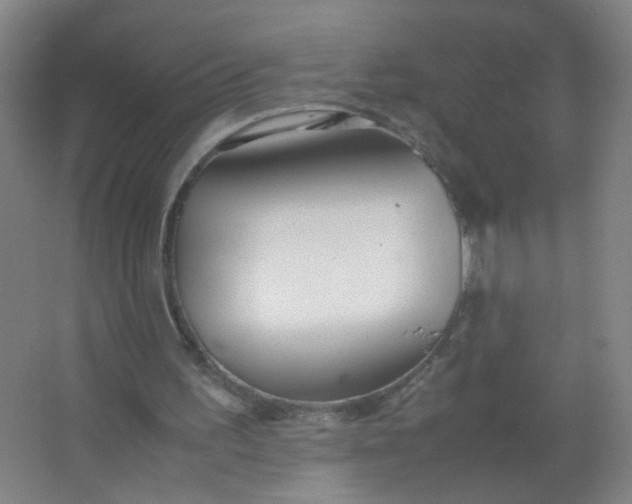 X0000063520195200602032119