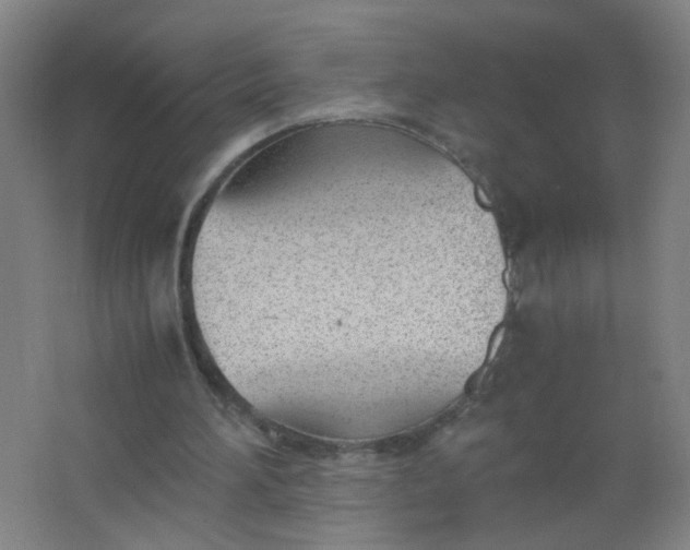 X0000063520196200602032119