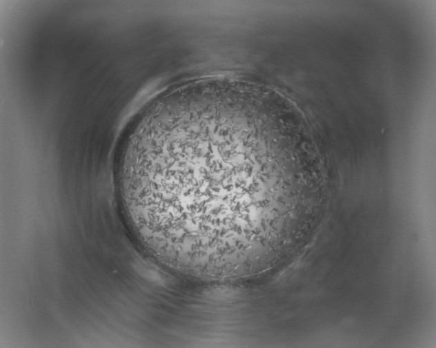 X0000063520198200602032119