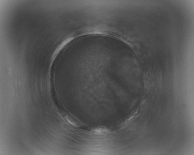 X0000063520200200602032118