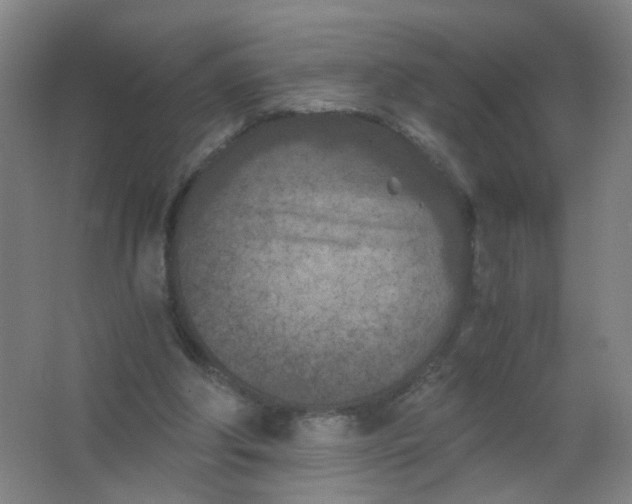 X0000063520202200602032118