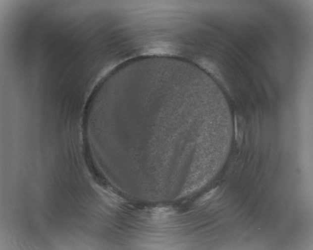 X0000063520204200602032118