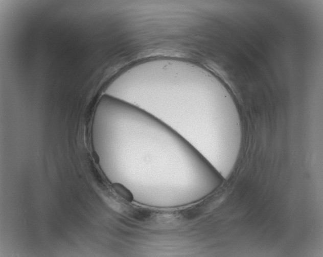 X0000063520205200602032118