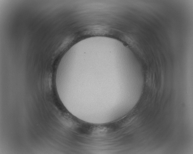 X0000063520206200602032118