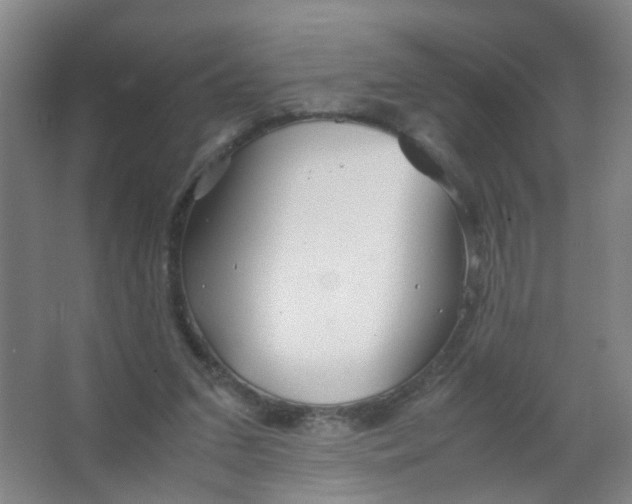 X0000063520207200602032118