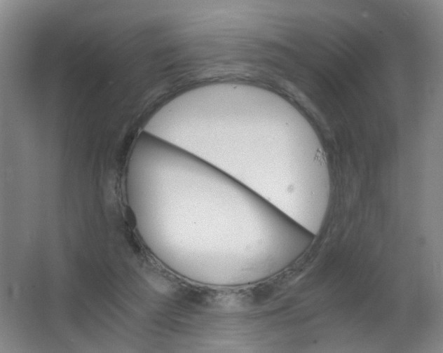 X0000063520209200602032118