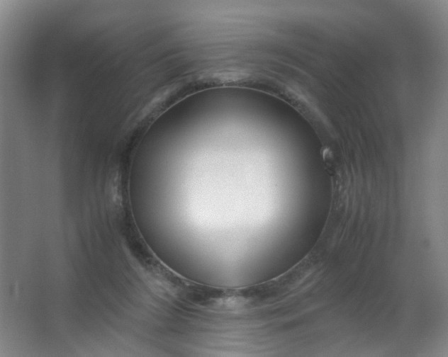 X0000063520212200602032118